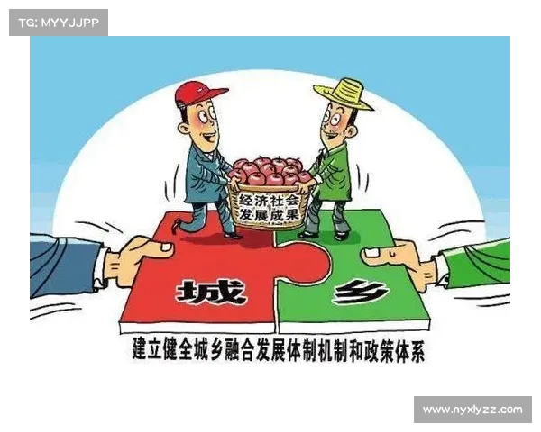降级区发展与转型：探索新兴区域经济路径与社会融合模式